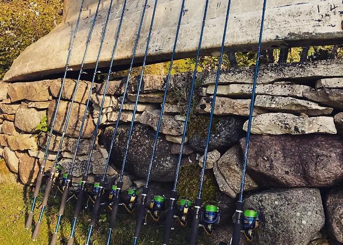 Kaebruotsa Tatil Evi *